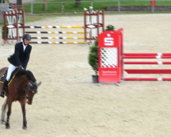 Reitturnier Ingolstadt-Hagau/Obb. 2025