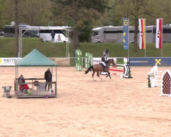 Internationales Springturnier Stadl-Paura 2025