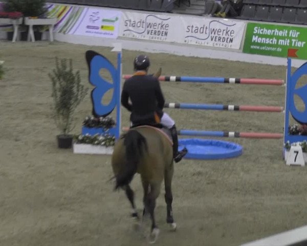 VER-Dinale 2014