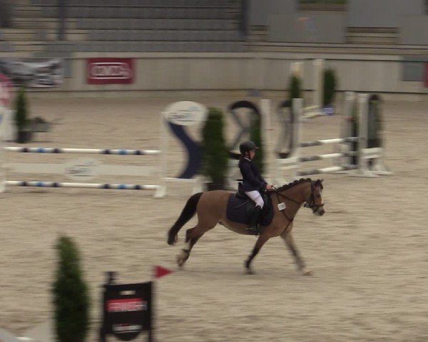 Reitturnier Aachen 2025