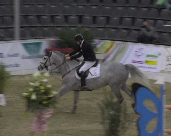 VER-Dinale 2014