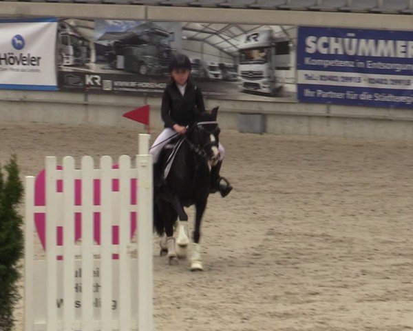 Reitturnier Aachen 2025