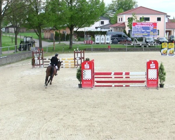 Reitturnier Ingolstadt-Hagau/Obb. 2025