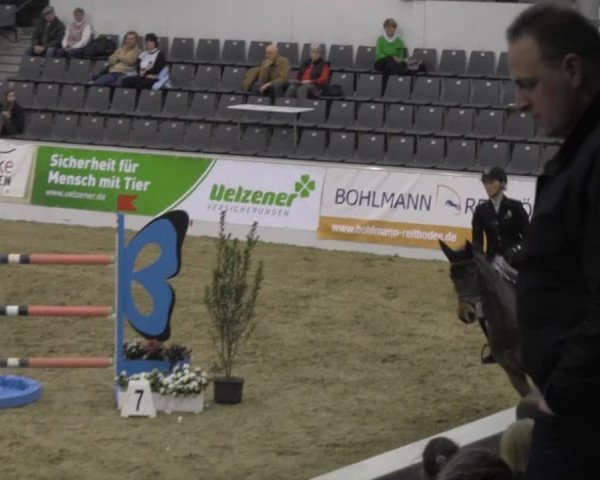 VER-Dinale 2014