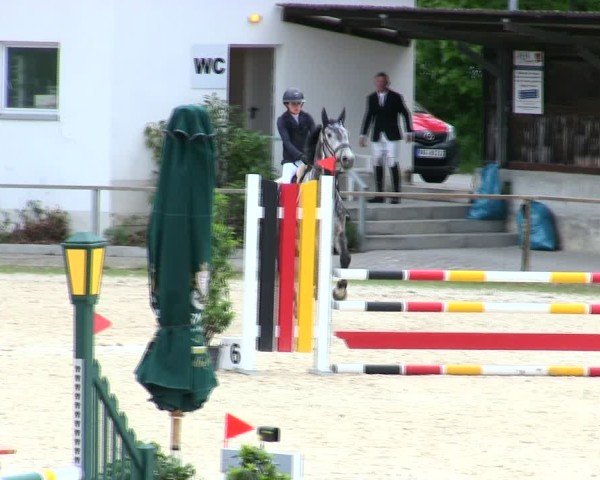 Reitturnier Ingolstadt-Hagau/Obb. 2025