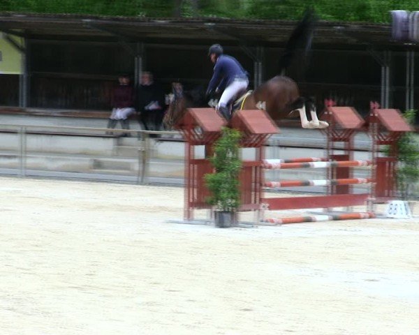 Reitturnier Ingolstadt-Hagau/Obb. 2025