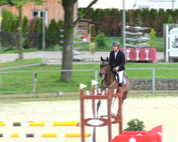 Reitturnier Ingolstadt-Hagau/Obb. 2025