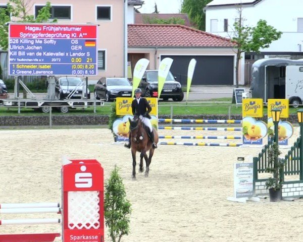 Reitturnier Ingolstadt-Hagau/Obb. 2025