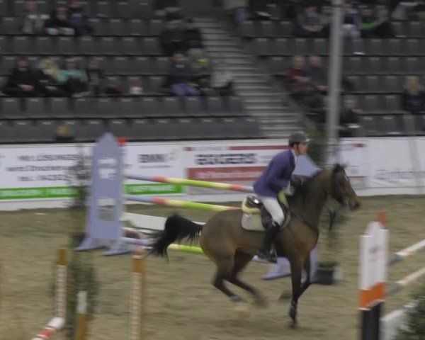 VER-Dinale 2014