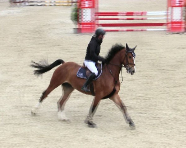 Reitturnier Ingolstadt-Hagau/Obb. 2025