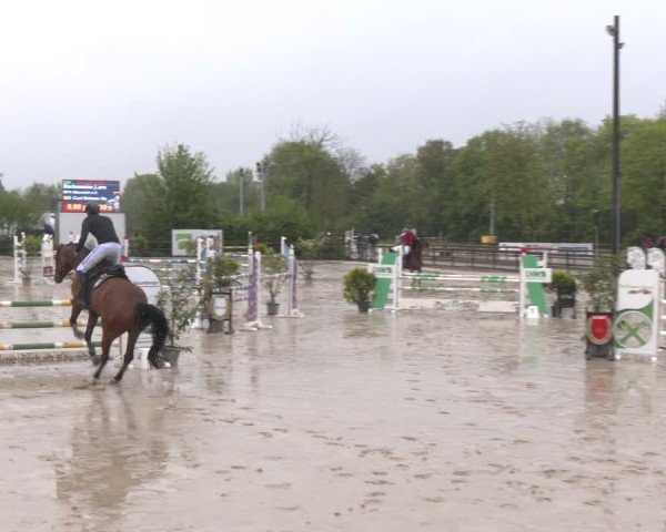 Reitturnier Nienberge 2025