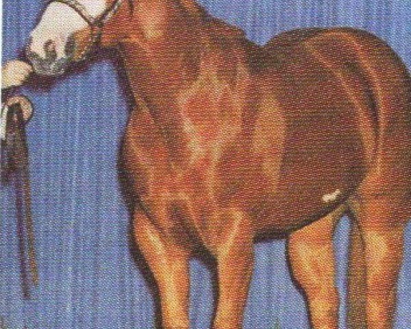 Pferd Balnk Chic A Doll (Paint Horse, 1996, von Barling Macho Man)