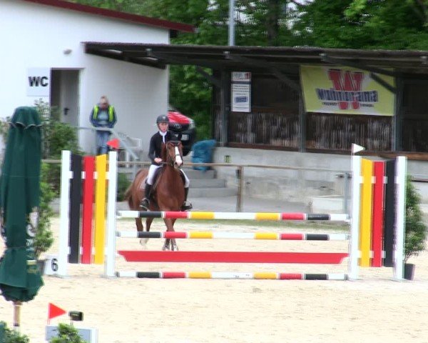 Reitturnier Ingolstadt-Hagau/Obb. 2025