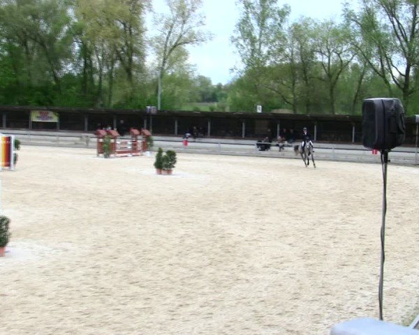 Reitturnier Ingolstadt-Hagau/Obb. 2025