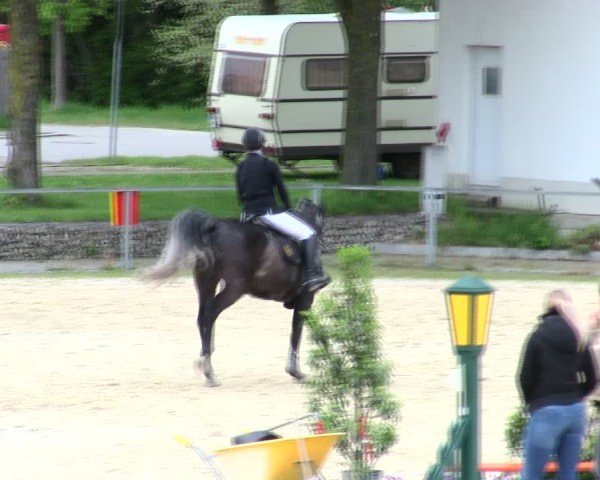 Reitturnier Ingolstadt-Hagau/Obb. 2025
