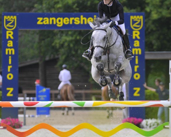 jumper Cornetta Ses Z (Zangersheide riding horse, 2017, from Cornet Obolensky) jumper Cornetta Ses Z (Zangersheide riding horse, 2017, from Cornet Obolensky)