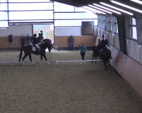 Reitturnier Datteln 2021