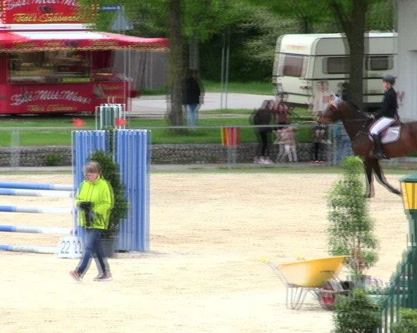 Reitturnier Ingolstadt-Hagau/Obb. 2025