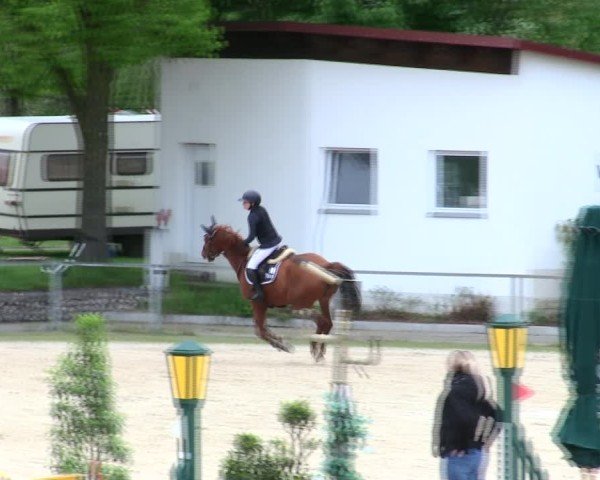 Reitturnier Ingolstadt-Hagau/Obb. 2025