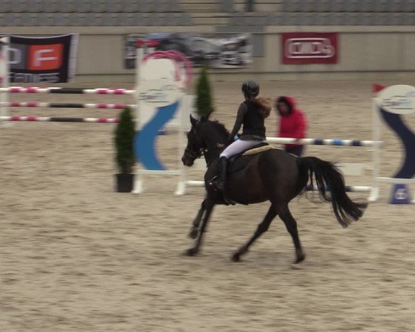 Reitturnier Aachen 2025