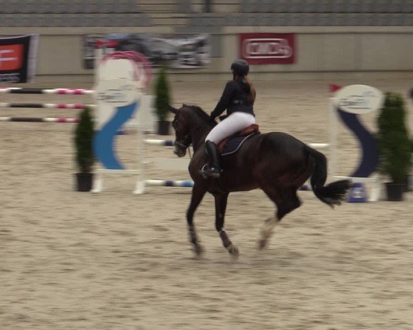 Reitturnier Aachen 2025