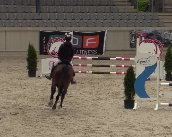 Reitturnier Aachen 2025