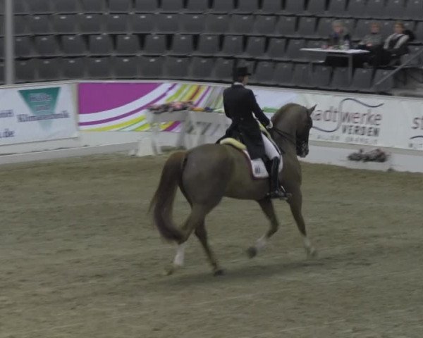 VER-Dinale 2014