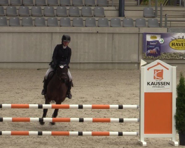 Reitturnier Aachen 2025