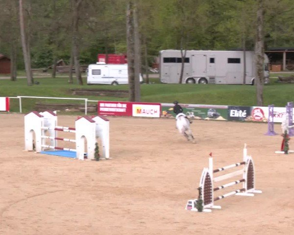 Internationales Springturnier Stadl-Paura 2025