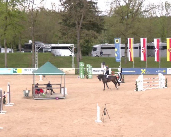 Internationales Springturnier Stadl-Paura 2025