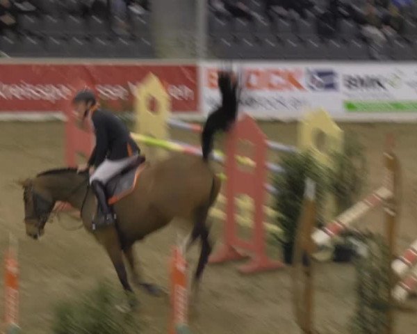 VER-Dinale 2014