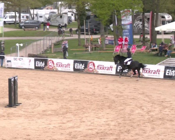 Internationales Springturnier Stadl-Paura 2025