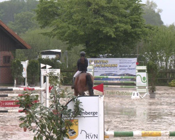 Reitturnier Nienberge 2025
