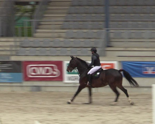 Reitturnier Aachen 2025