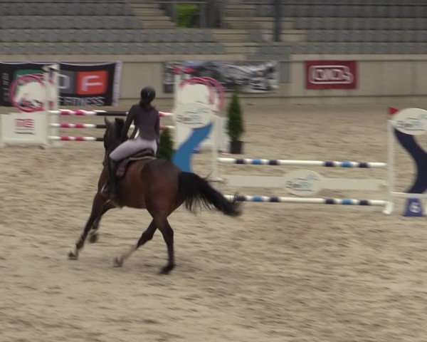 Reitturnier Aachen 2025