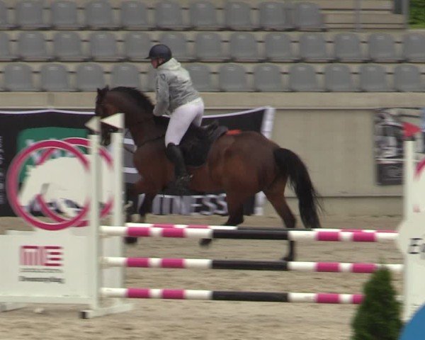 Reitturnier Aachen 2025