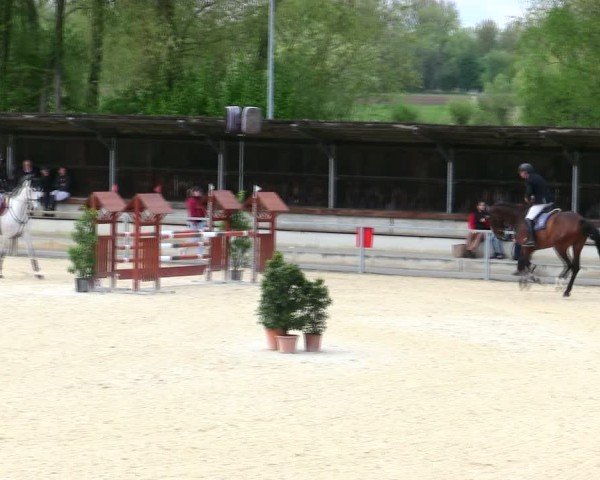 Reitturnier Ingolstadt-Hagau/Obb. 2025