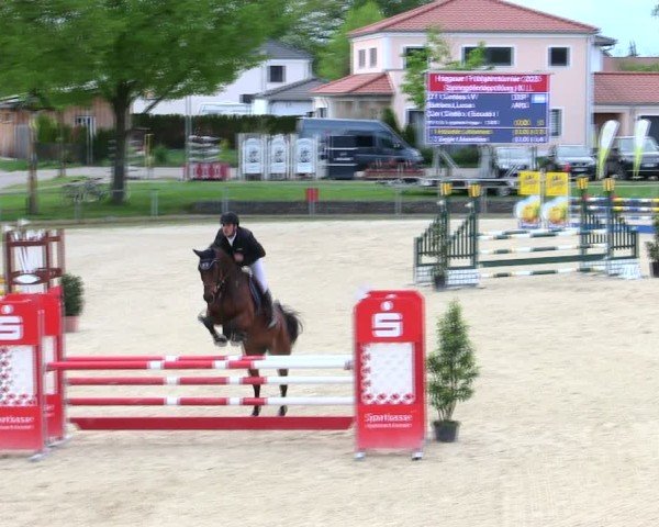 Reitturnier Ingolstadt-Hagau/Obb. 2025