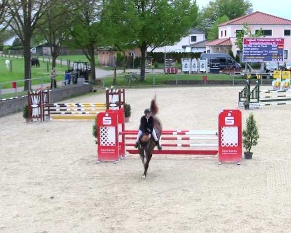 Reitturnier Ingolstadt-Hagau/Obb. 2025