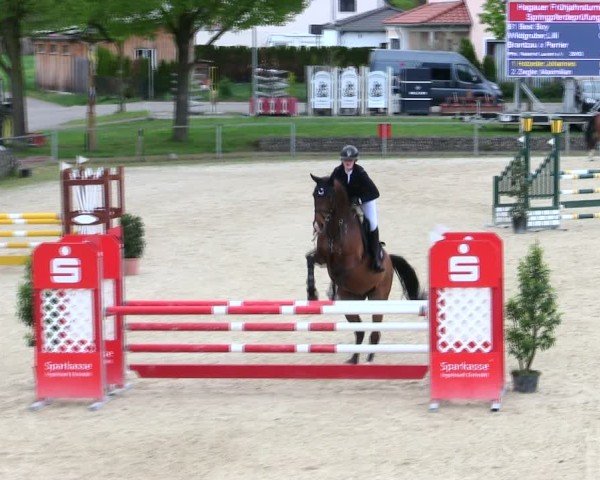 Reitturnier Ingolstadt-Hagau/Obb. 2025