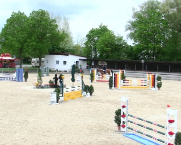 Reitturnier Ingolstadt-Hagau/Obb. 2025