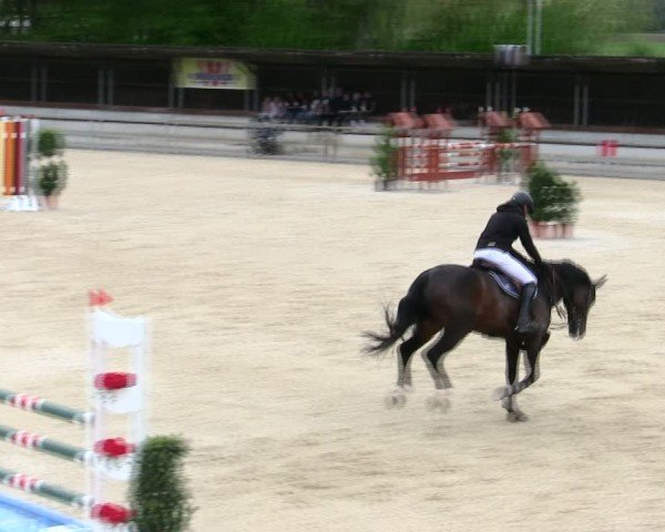 Reitturnier Ingolstadt-Hagau/Obb. 2025