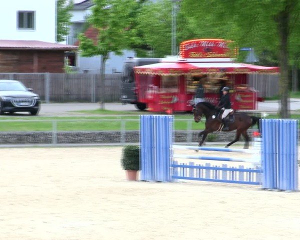 Reitturnier Ingolstadt-Hagau/Obb. 2025