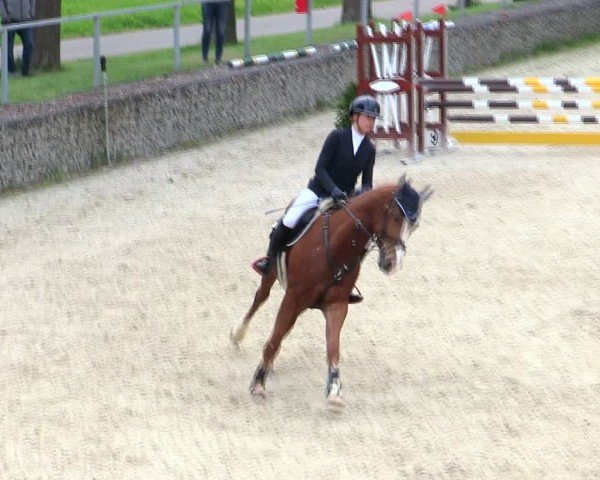 Reitturnier Ingolstadt-Hagau/Obb. 2025