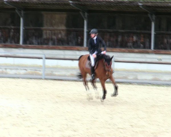 Reitturnier Ingolstadt-Hagau/Obb. 2025