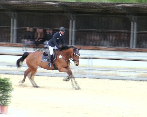 Reitturnier Ingolstadt-Hagau/Obb. 2025