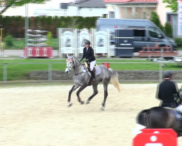 Reitturnier Ingolstadt-Hagau/Obb. 2025