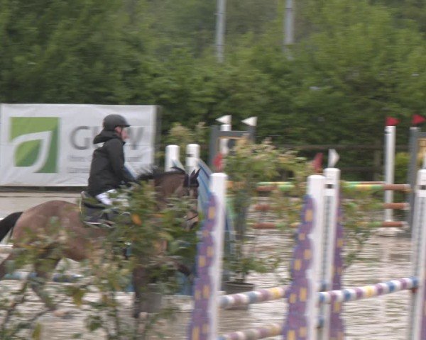 Reitturnier Nienberge 2025