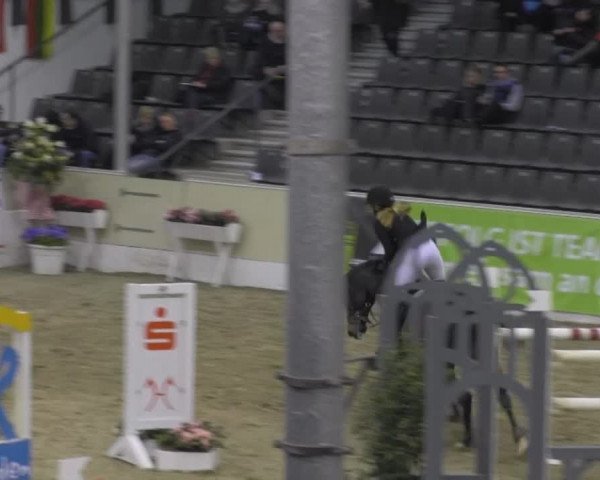 VER-Dinale 2014