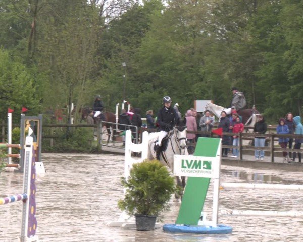 Reitturnier Nienberge 2025